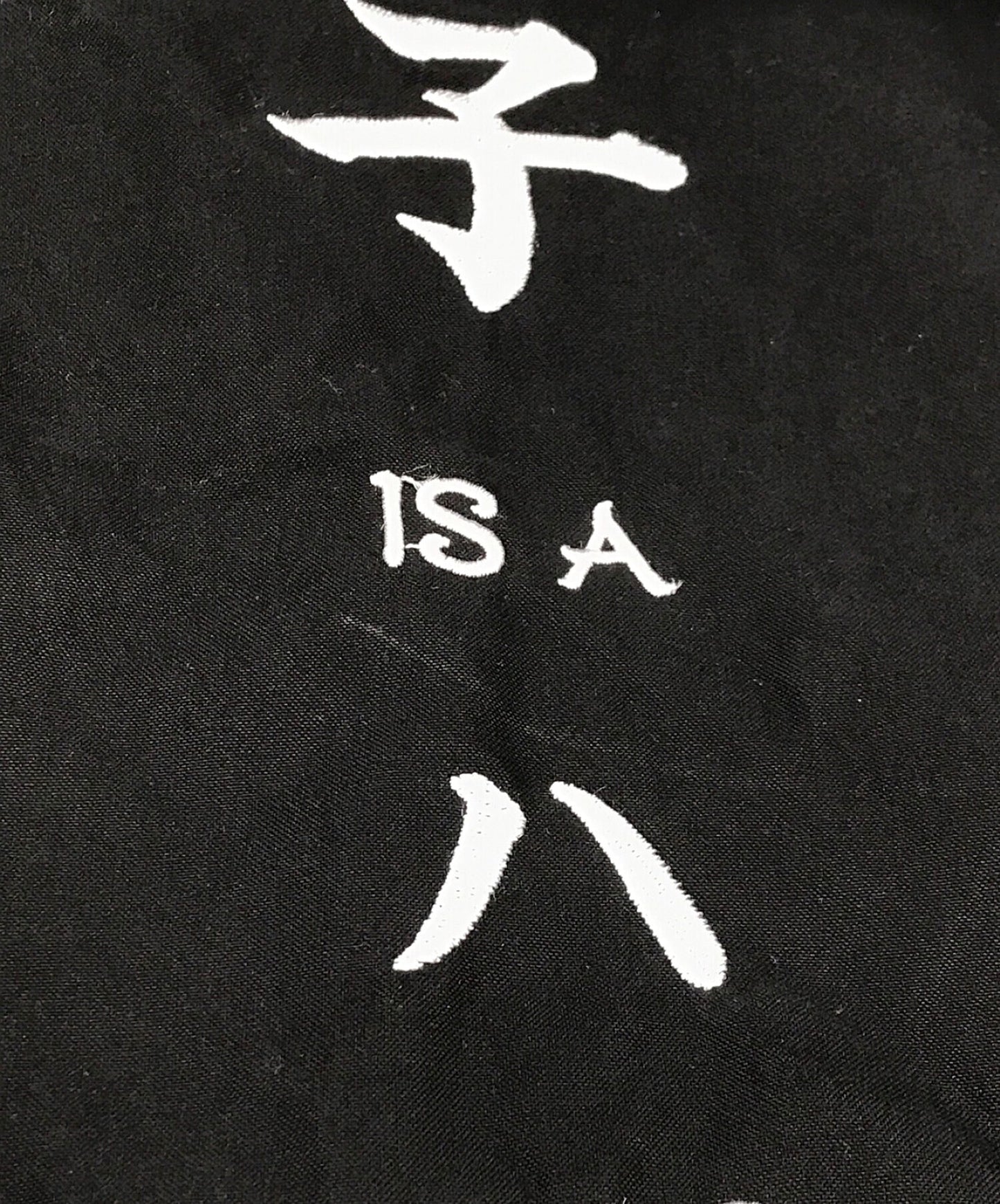 Nishimoto是嘴鱼尾毛外套