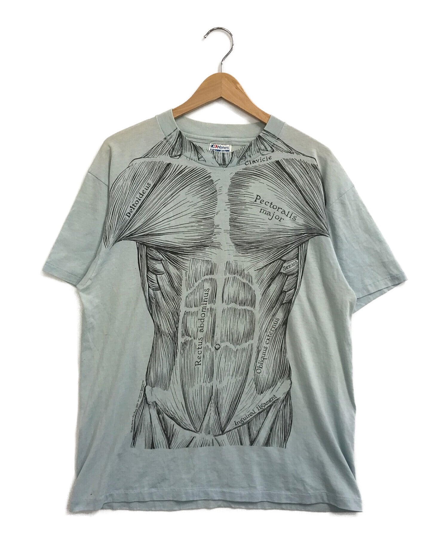 Rectus Abdominis T-Shirts for Sale