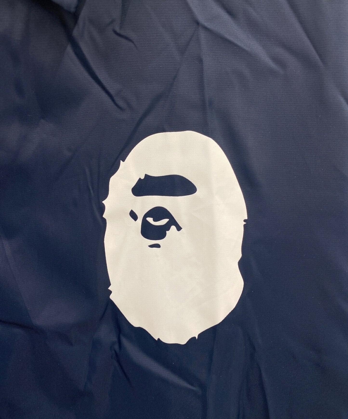 목욕 원숭이 인쇄 코치 재킷