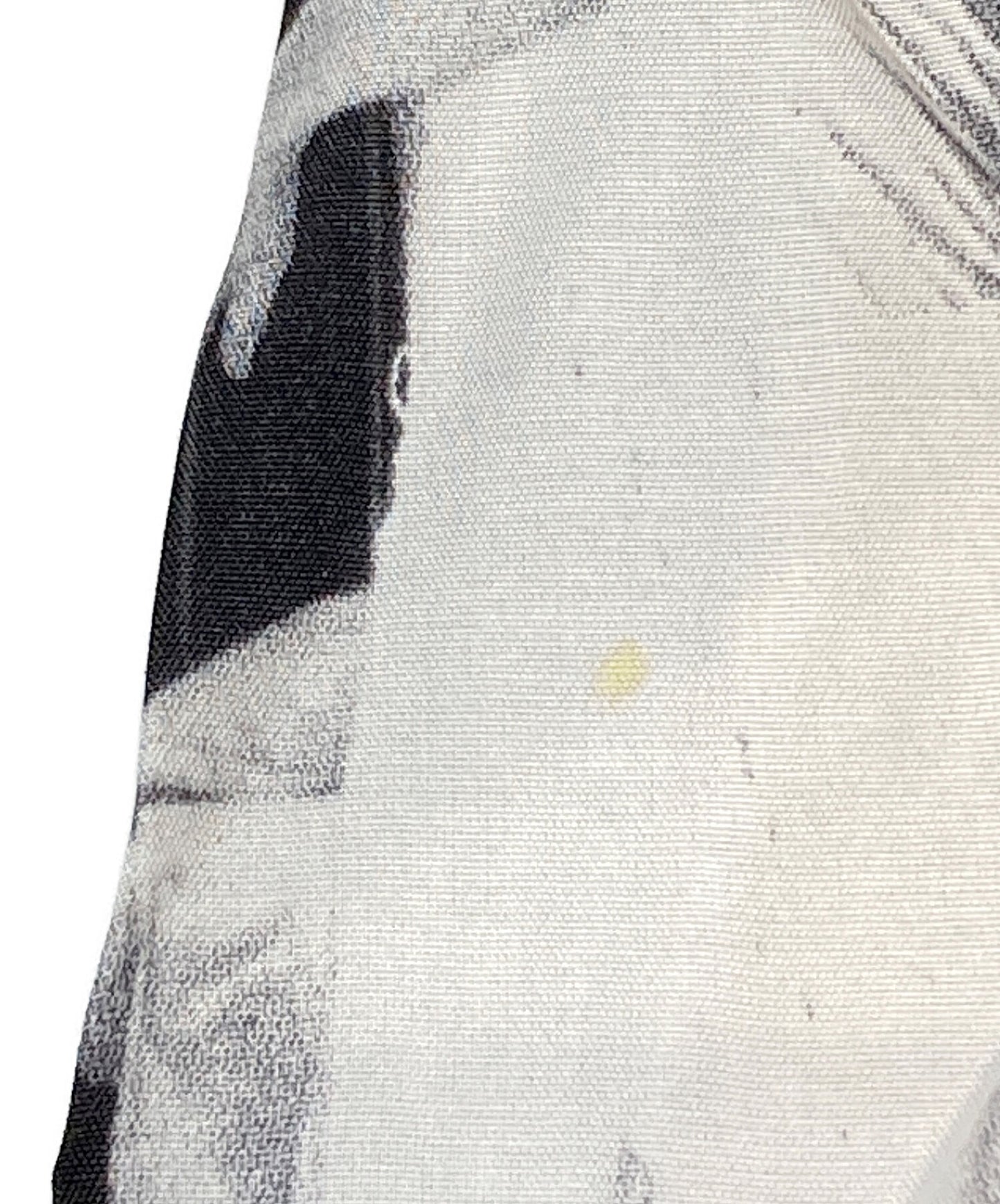 wacko瑪麗亞羔羊夏威夷襯衫 /阿羅哈襯衫的沉默