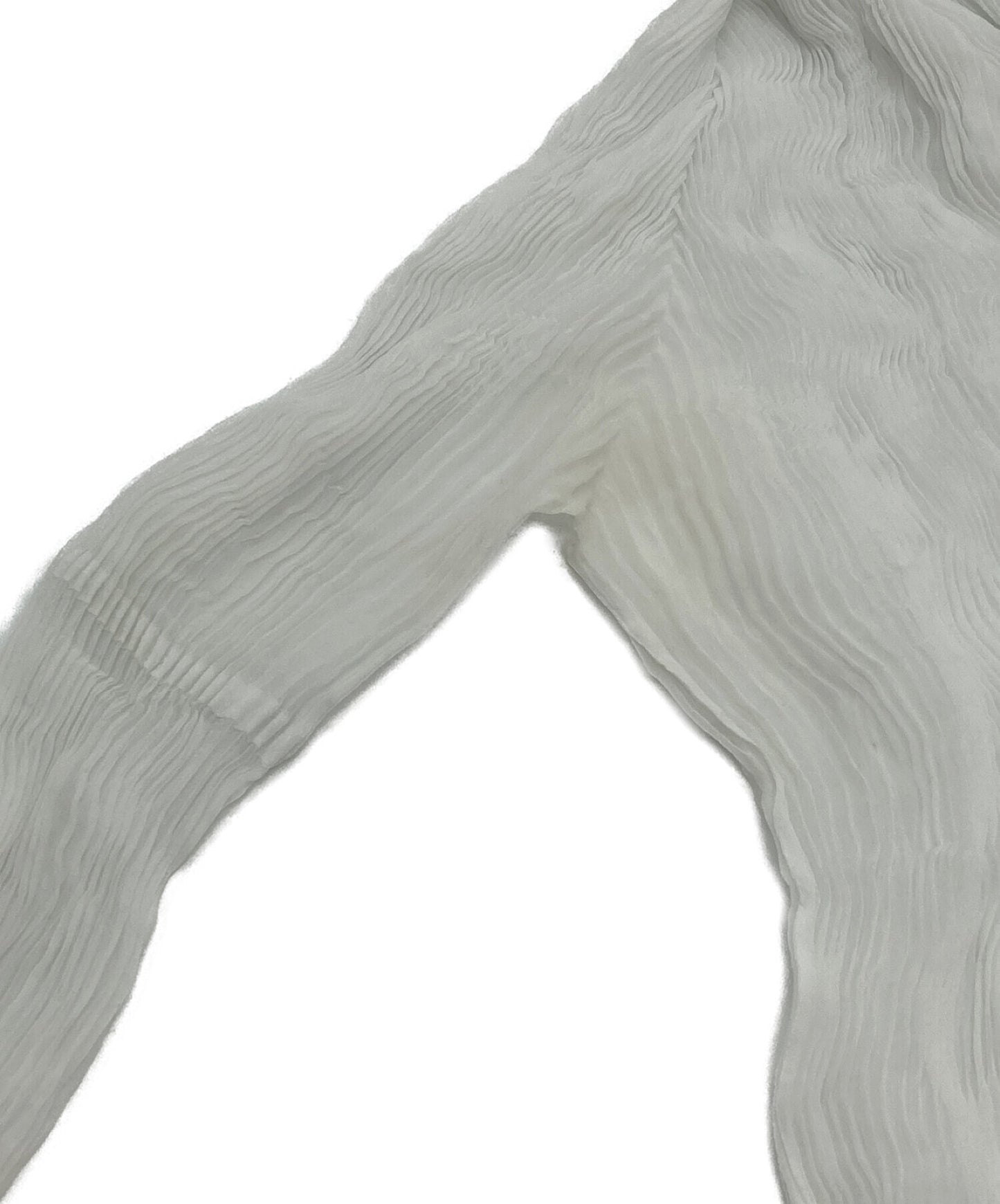 Issey Miyake Chiffon Twist 1 / Chiffon Twist /长袖 /长袖 /衬衫 /透明 /高颈IM71FJ410