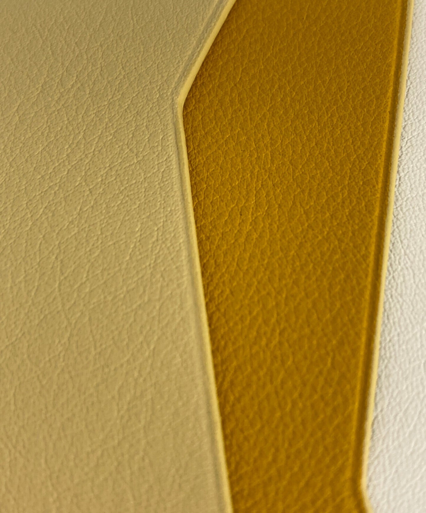 [Pre-owned] LOEWE (credit) card case