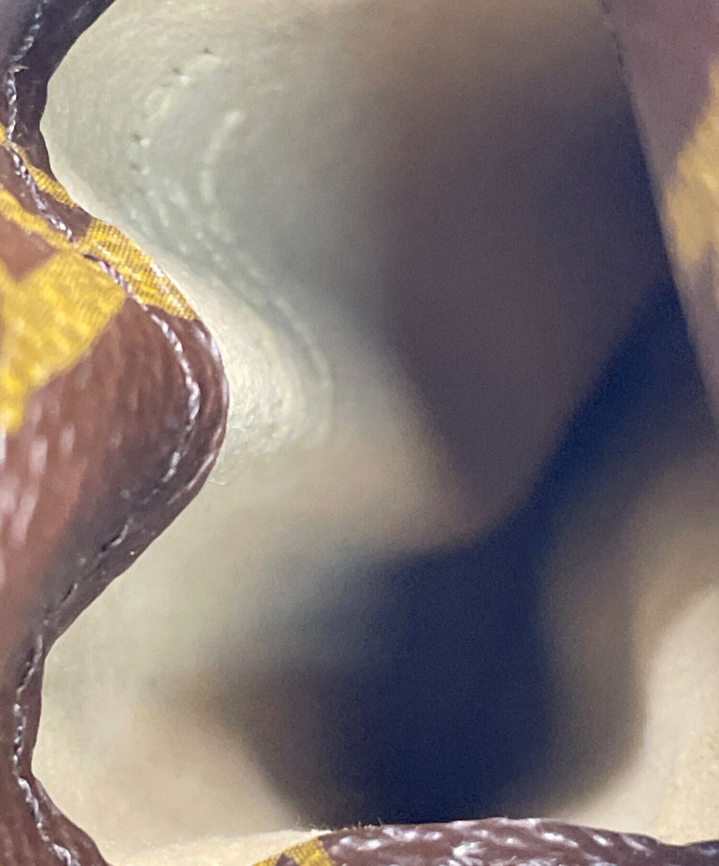 [Pre-owned] LOUIS VUITTON Eteu Lunette PM M66545