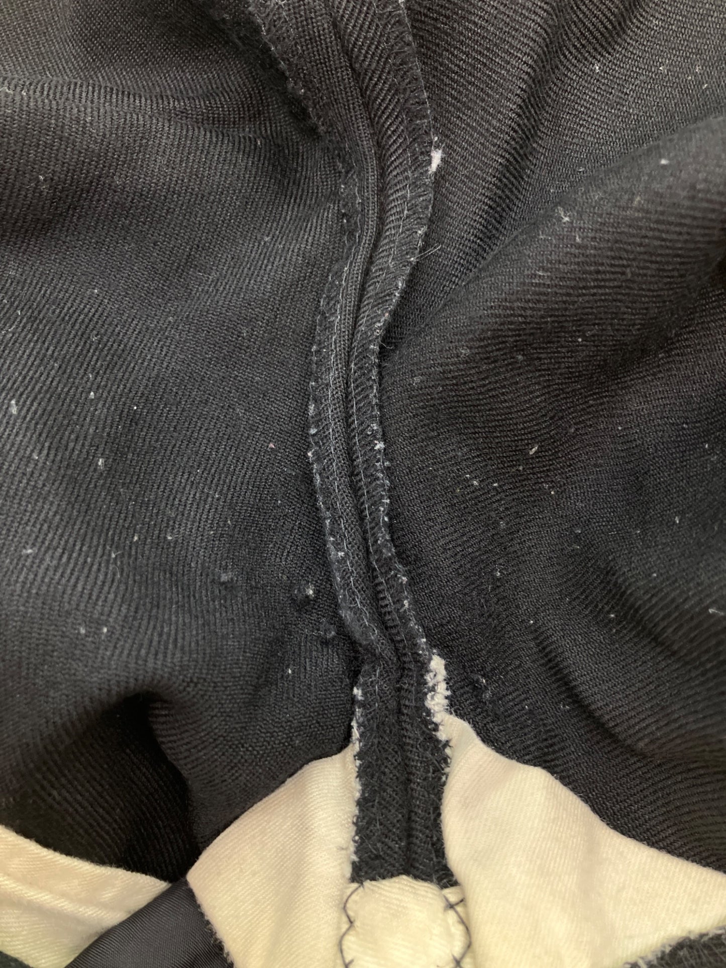 [Pre-owned] COMME des GARCONS HOMME PLUS Wool Pants, Slacks PJ-P011