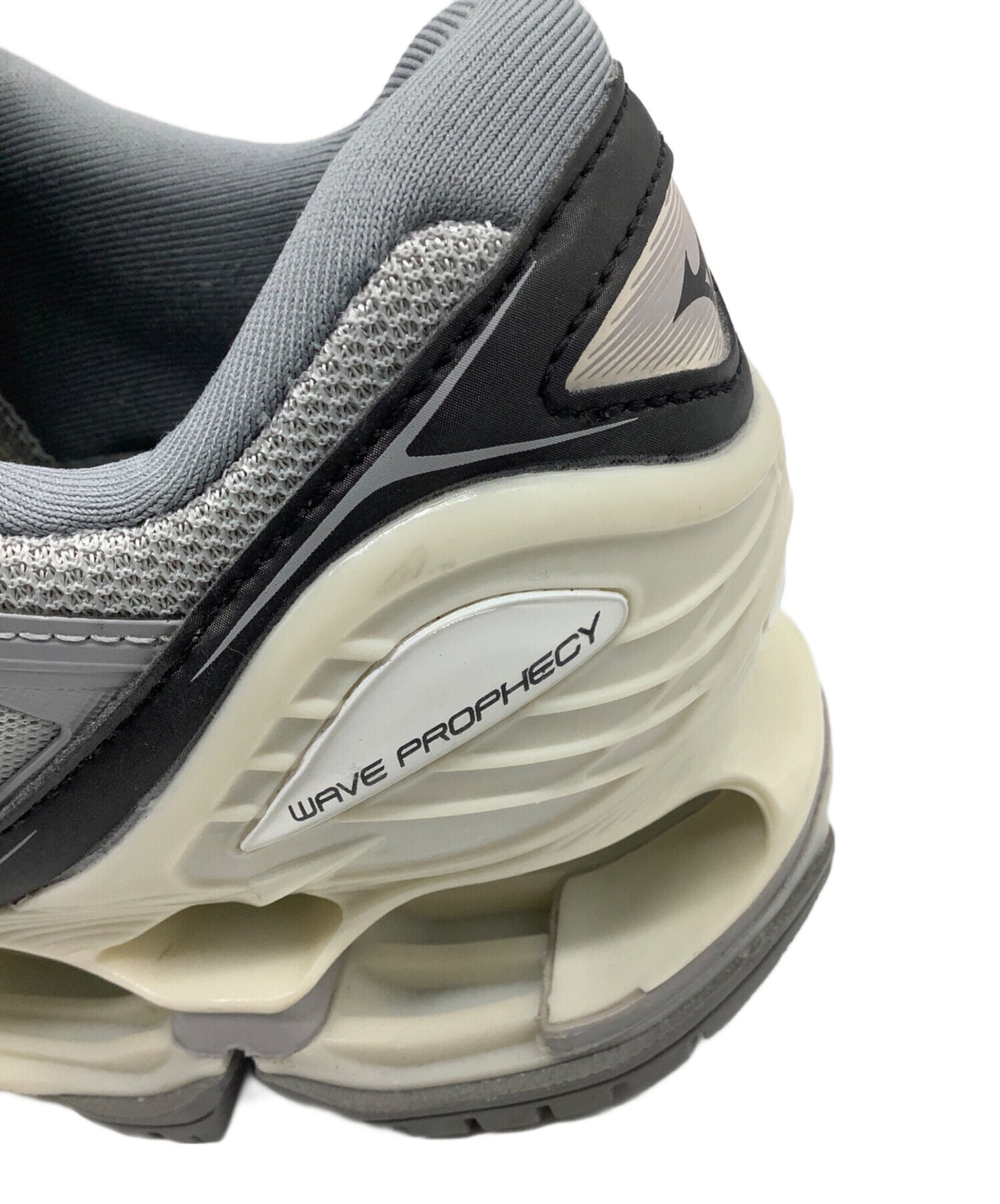 [Pre-owned] MIZUNO WAVE PROPHECY LS D1GA213905