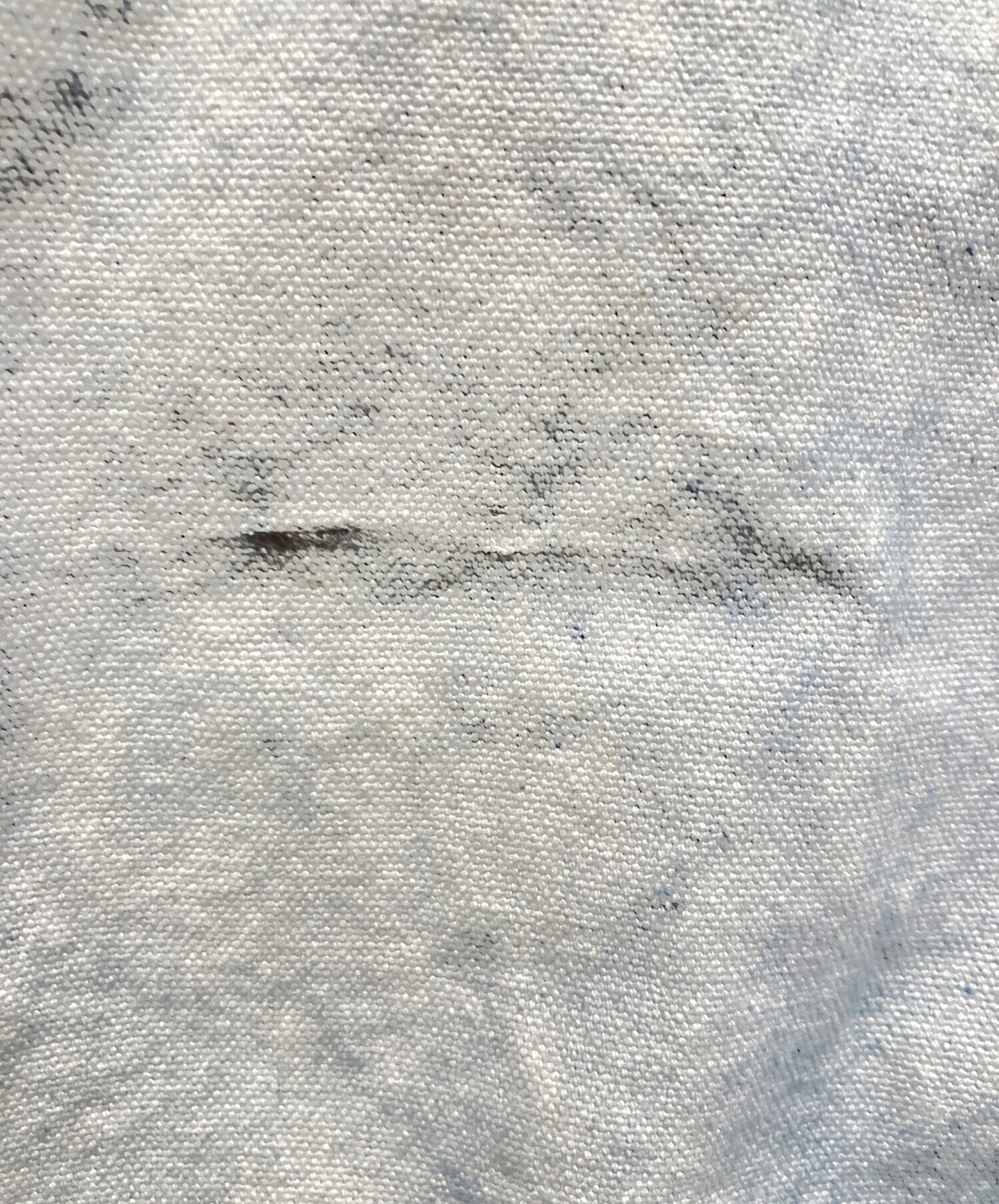 [Pre-owned] stussy WASHED CANVAS PRIMALOFT VEST 115654