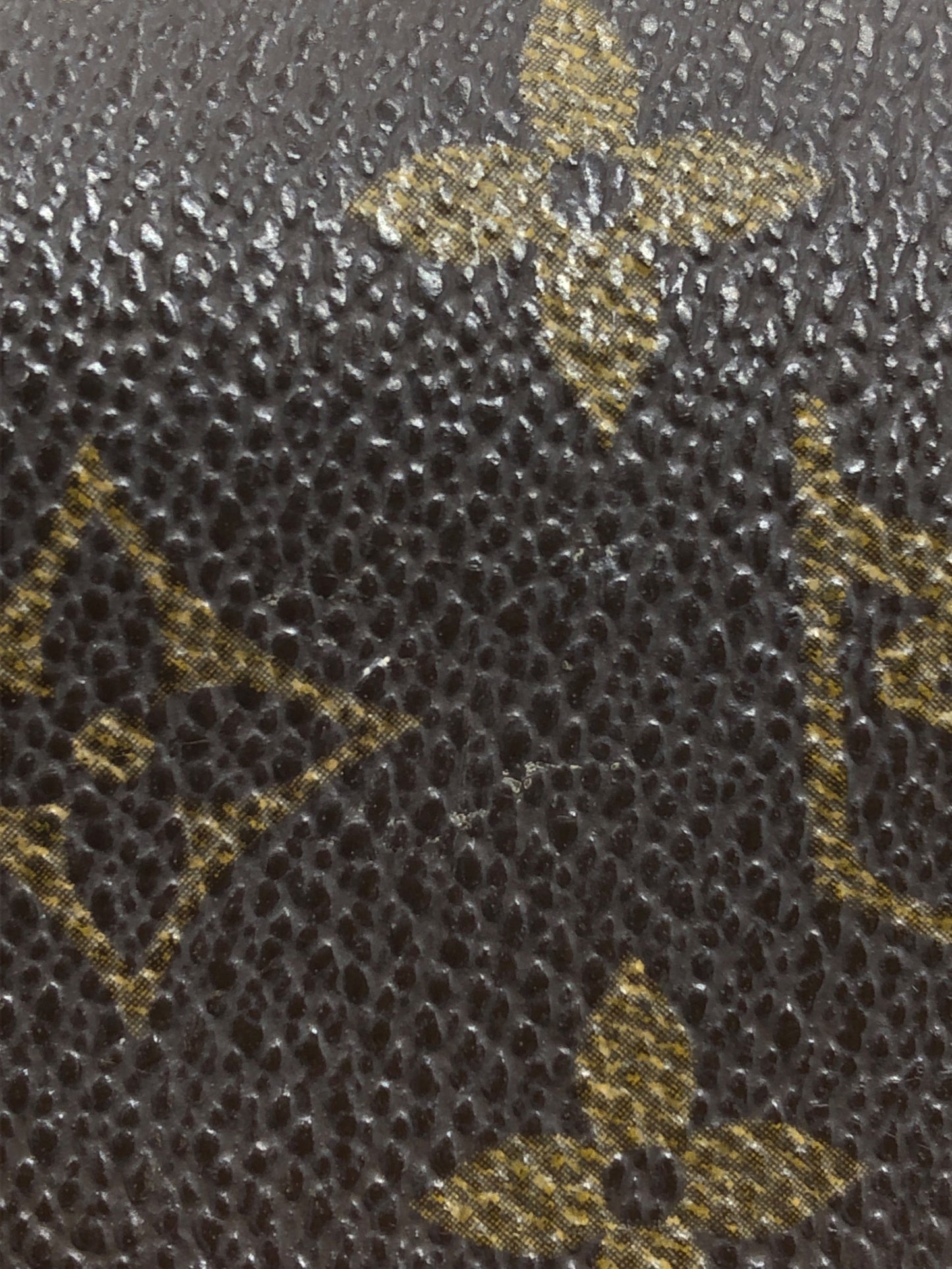 [Pre-owned] LOUIS VUITTON spectacle case M62962