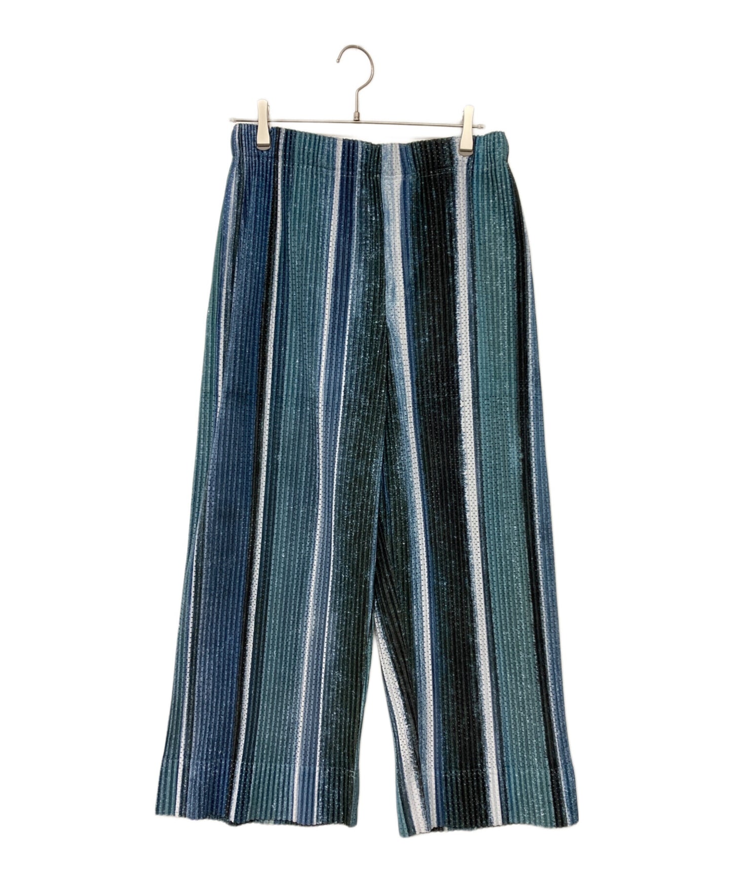 [Pre-owned] HOMME PLISSE ISSEY MIYAKE mesh pleated pants HP91JF155