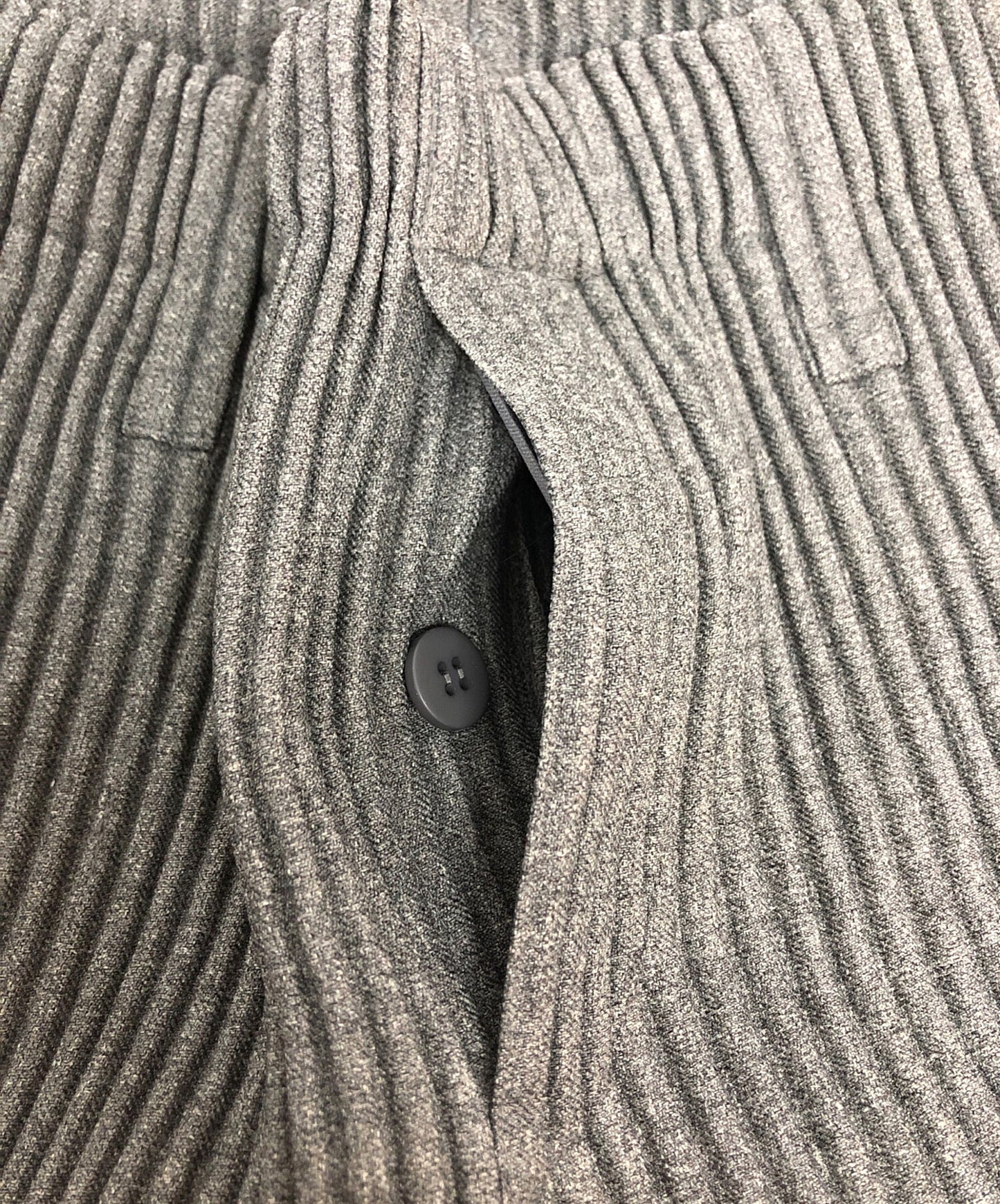 [Pre-owned] HOMME PLISSE ISSEY MIYAKE Wool-like light pleated pants HP21FF302
