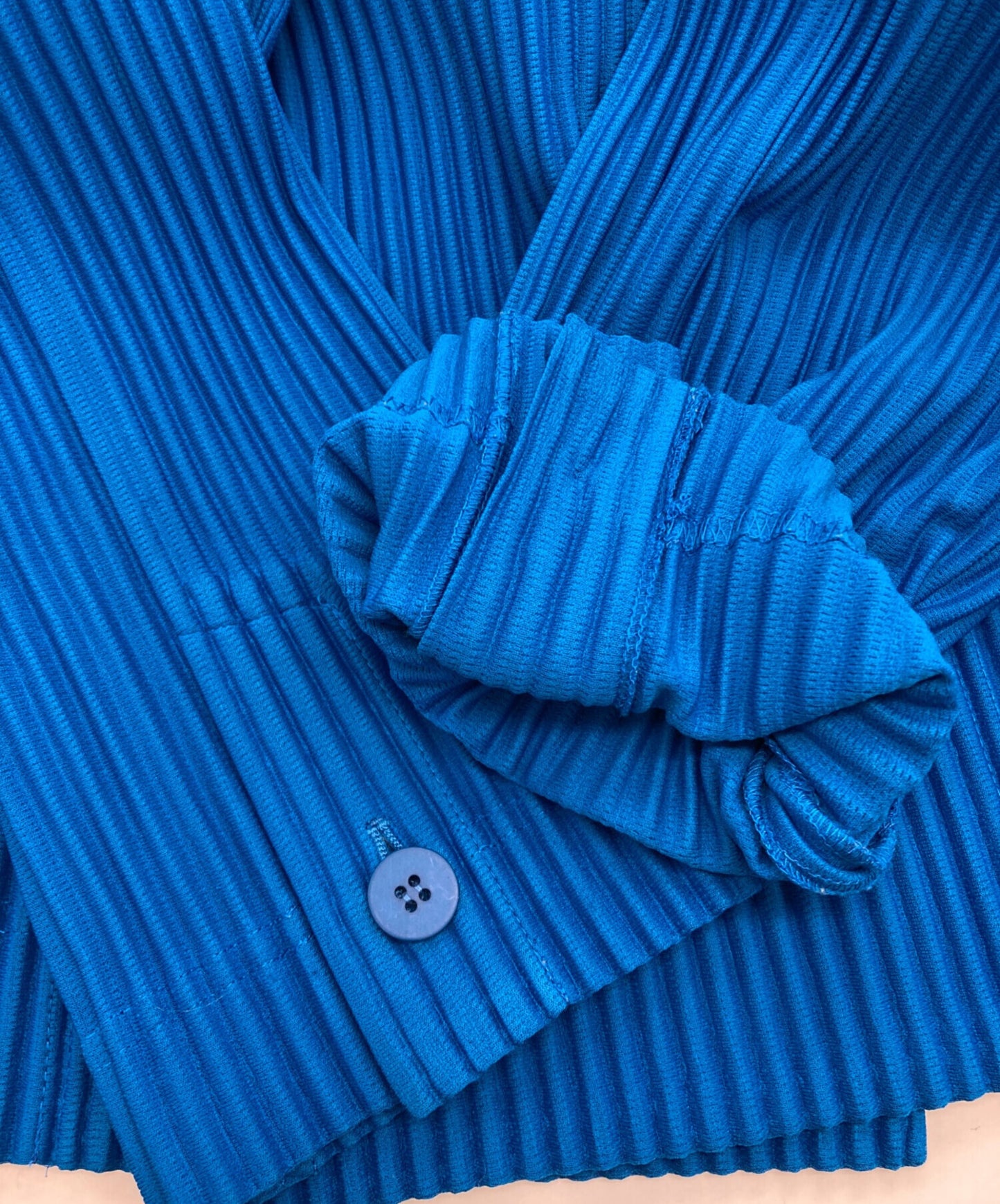 [Pre-owned] ISSEY MIYAKE TAILORED PLEATS 2 HP01JD213