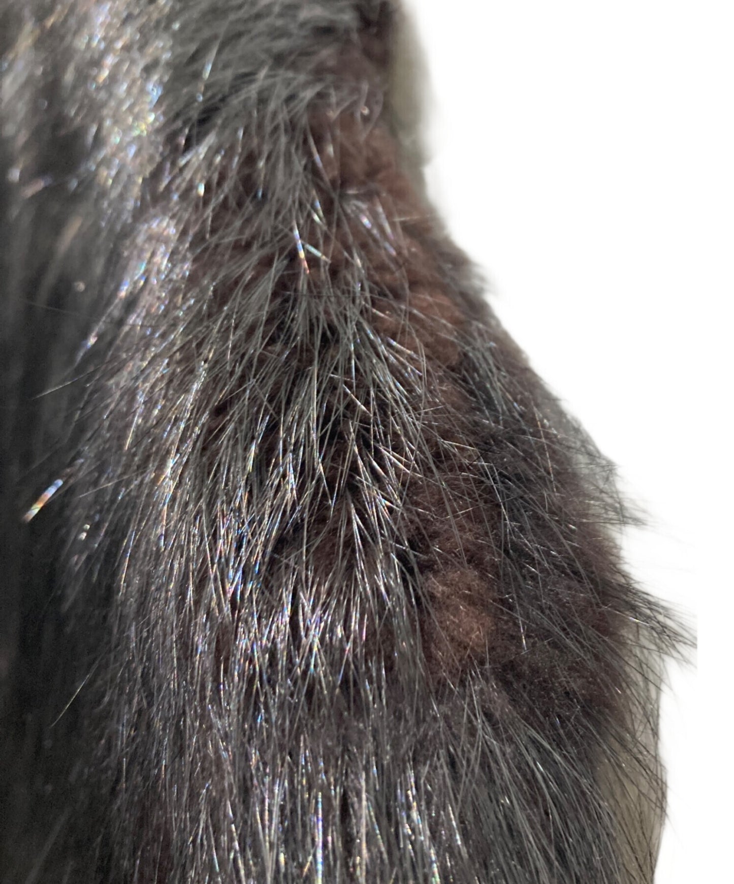 [Pre-owned] LOEWE fur jacket