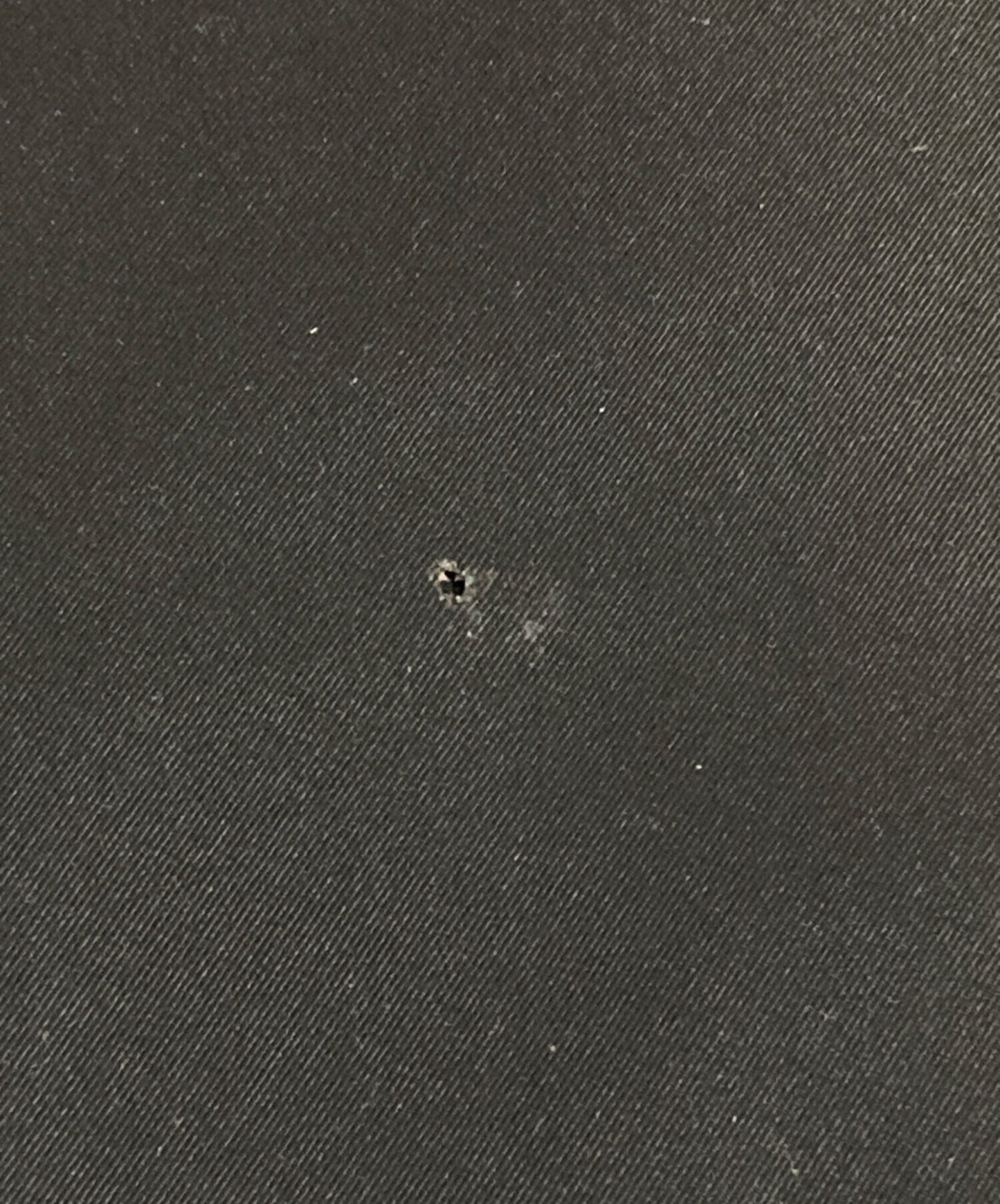 [Pre-owned] A BATHING APE nylon pants (shorts)