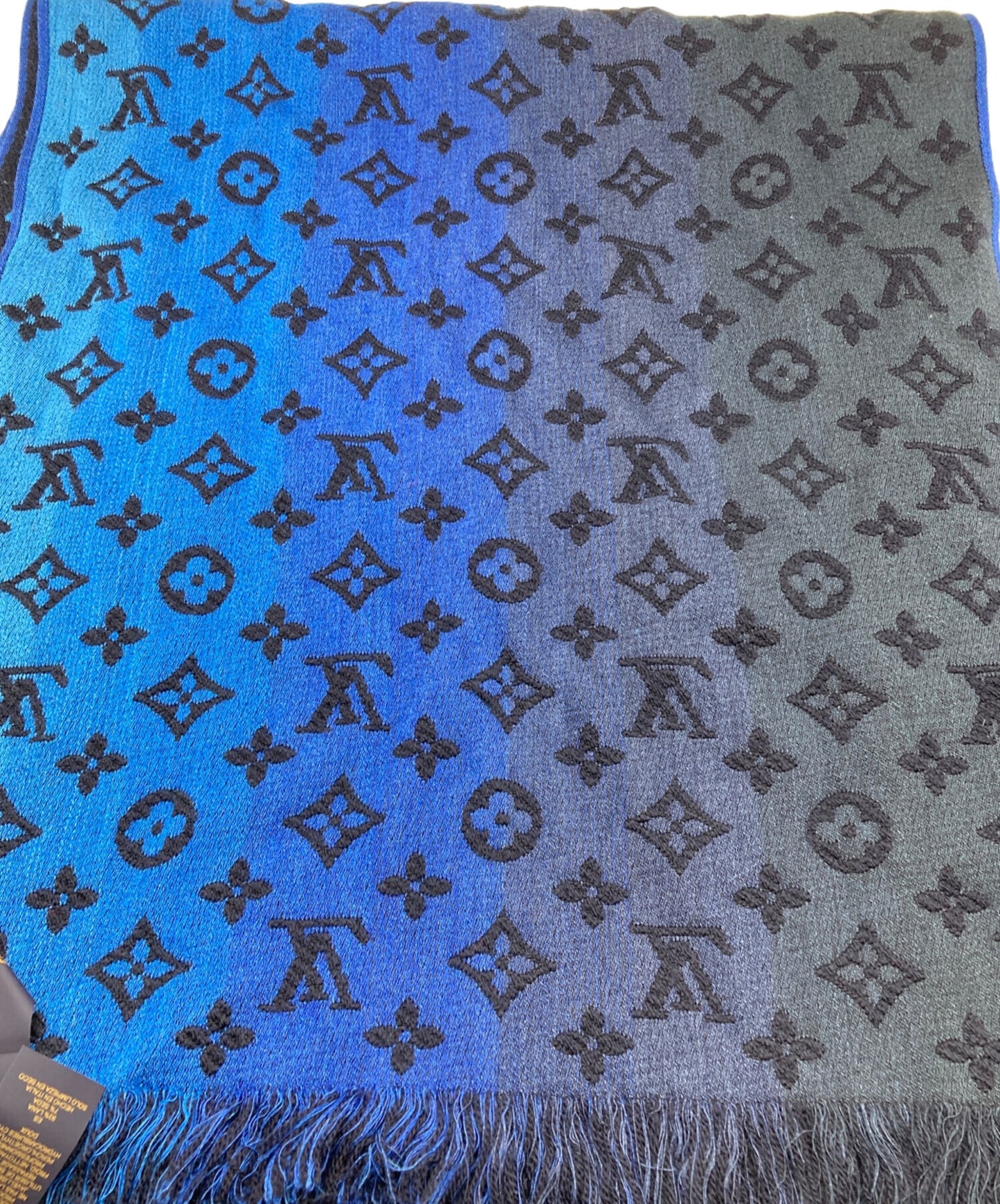 [Pre-owned] LOUIS VUITTON Echalp Monogram Classic Gradient M76823