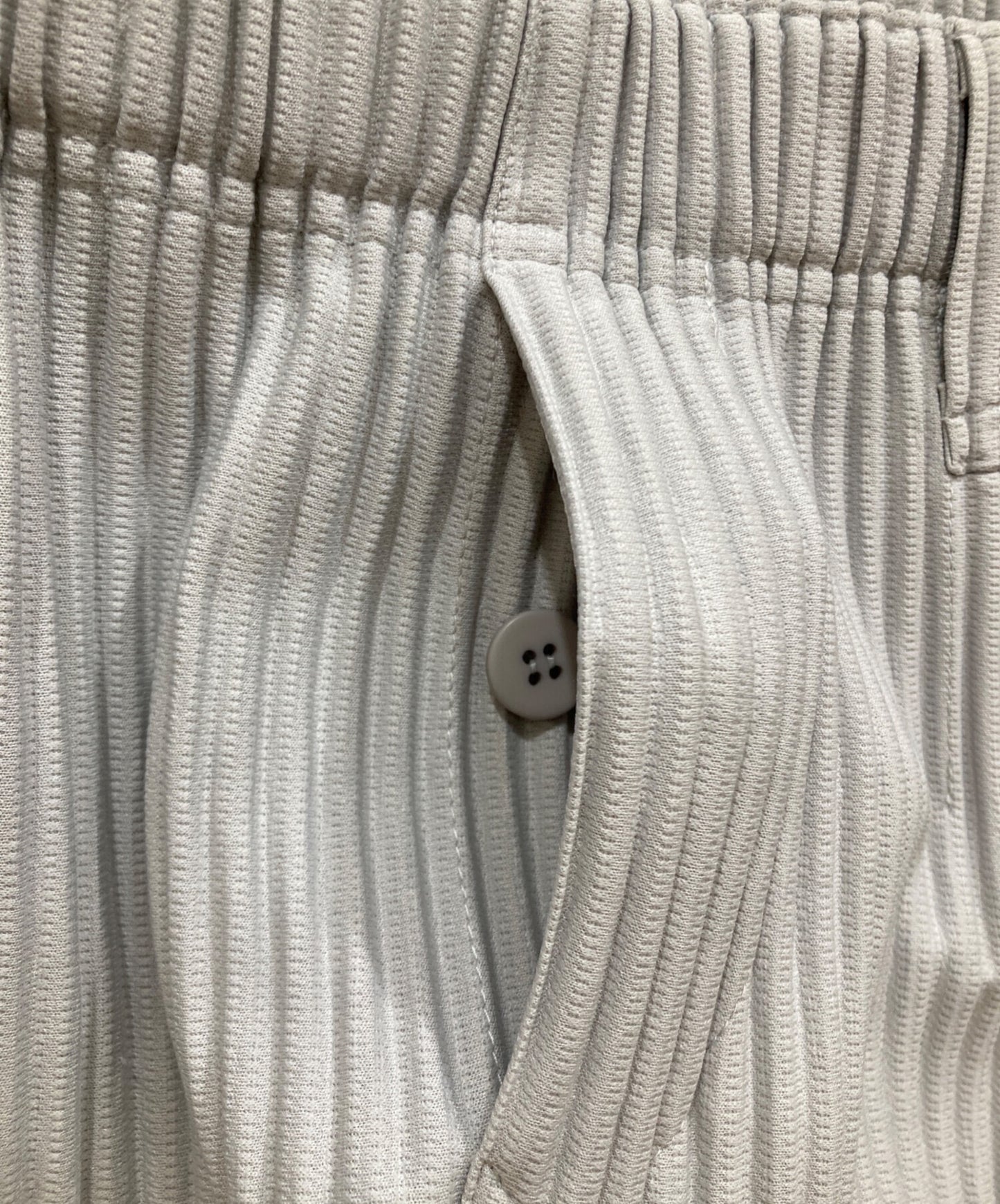[Pre-owned] HOMME PLISSE ISSEY MIYAKE straight-pleated pants HP55JF450