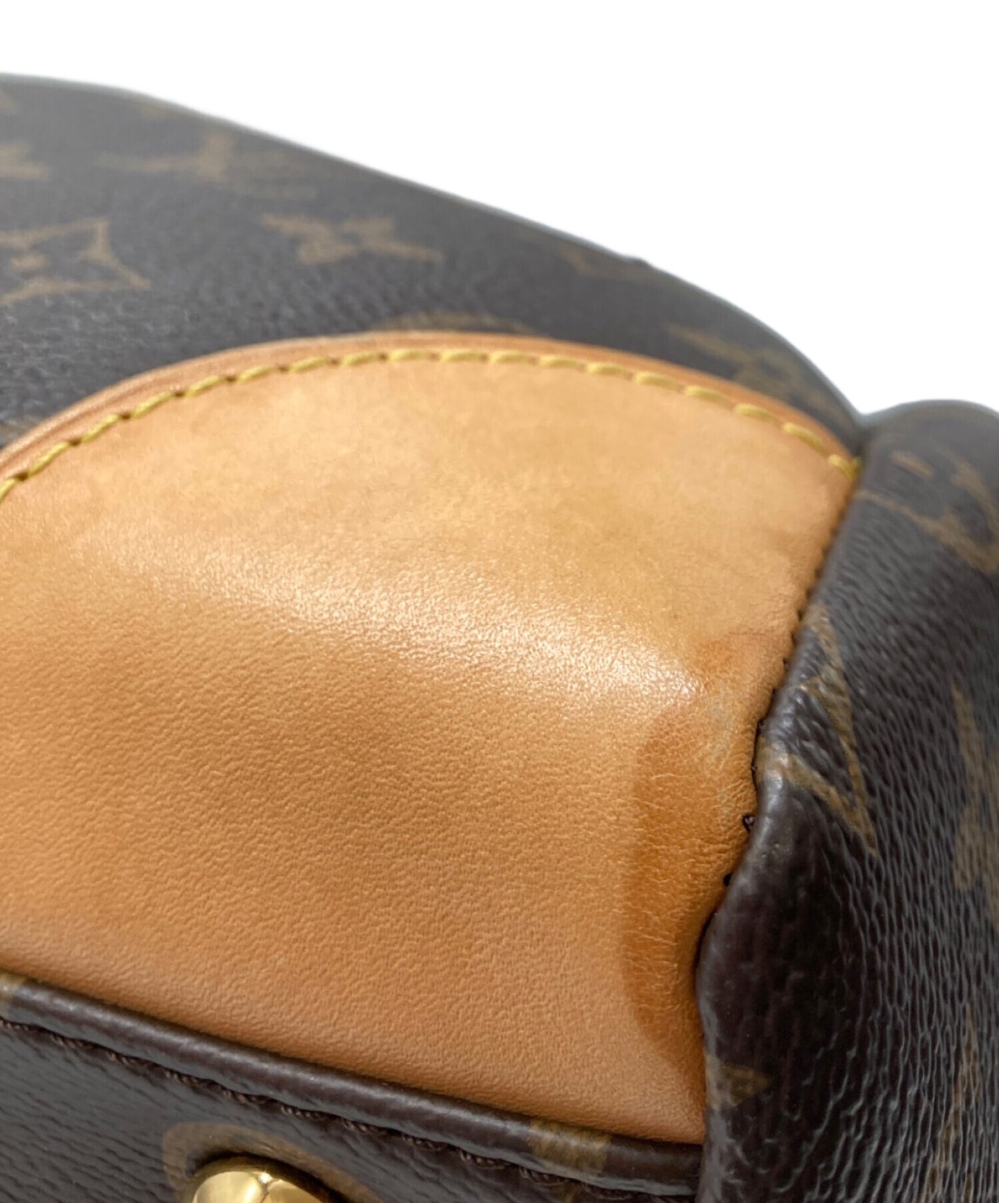 [Pre-owned] LOUIS VUITTON 2-way shoulder bag / Monogram Ségur M41632