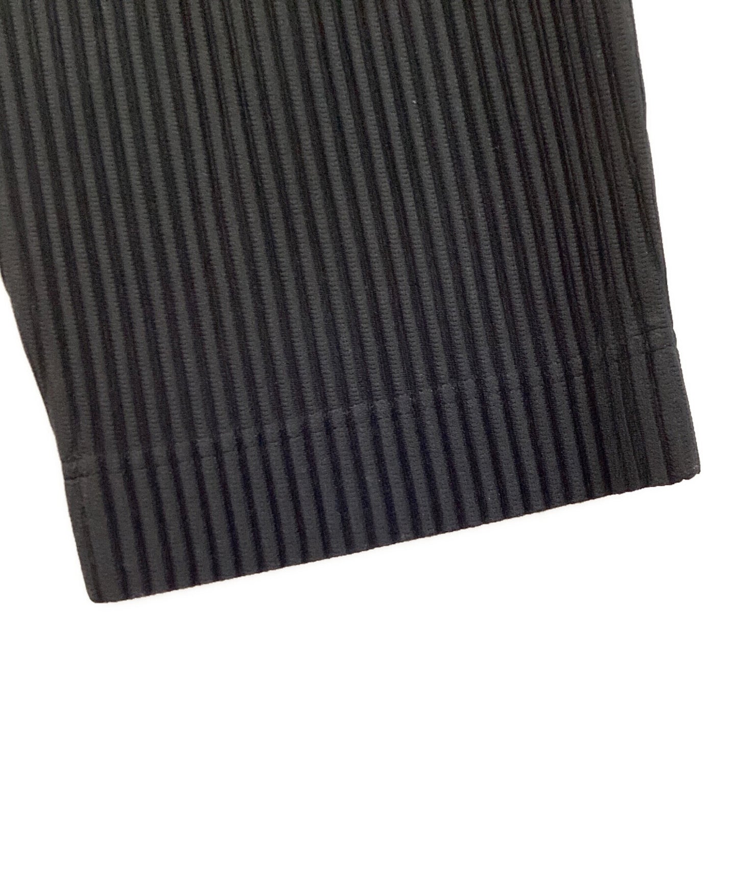 [Pre-owned] HOMME PLISSE ISSEY MIYAKE BASICS Pleated Pants HP55JF150