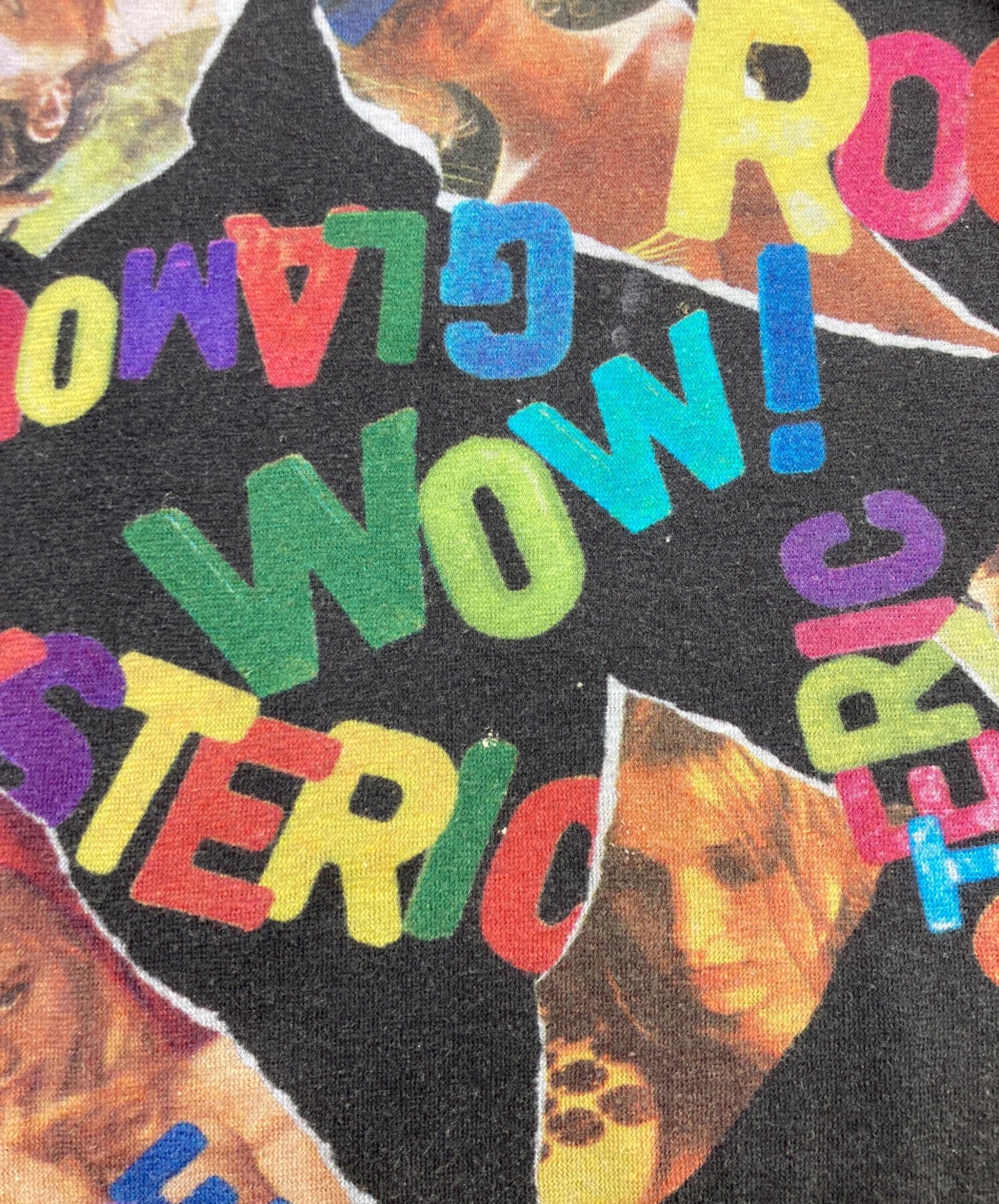 [Pre-owned] Hysteric Glamour long-sleeved cut-and-sew 0142CT12